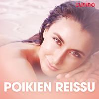 Poikien reissu – eroottinen novelli