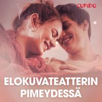 Elokuvateatterin pimeydessä – eroottinen novelli
