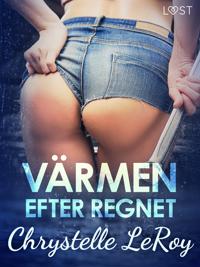 Värmen efter regnet - erotisk novell
