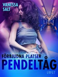 Förbjudna platser: Pendeltåg - erotisk novell