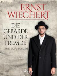 Die Gebärde und der Fremde - Zwei Erzählungen