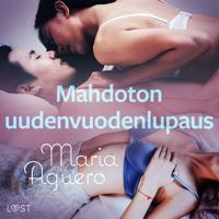 Mahdoton uudenvuodenlupaus – eroottinen novelli