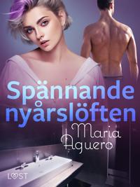 Spa¨nnande nya°rslo¨ften - erotisk novell
