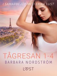 Tågresan 1-4 - en serie om erotiska tågresor