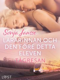 Tågresan: Lärarinnan och den före detta eleven - erotisk novell