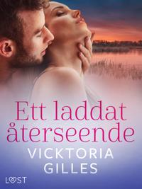 Ett laddat återseende - erotisk novell