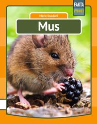 Mus