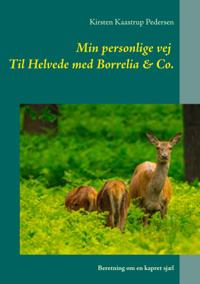Min personlige vej  Til Helvede med Borrelia & Co.