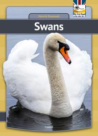 Swans