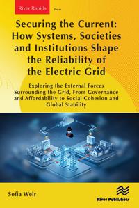 Securing the Current: How Systems, Societies and Institutions Shape the Reliability of the Electric Grid