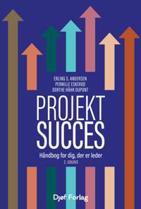 Projektsucces