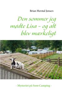 Den sommer jeg mødte Lisa - og alt blev mærkeligt