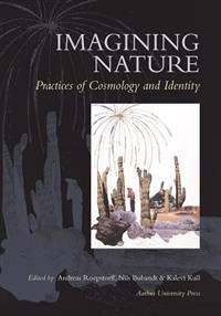 Imagining Nature