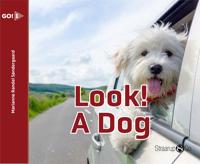 Look! A Dog