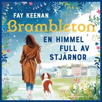 En himmel full av stjärnor
