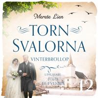 Vinterbröllop