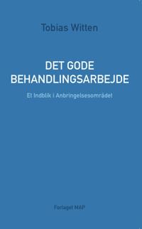 Det Gode Behandlingsarbejde - Et indblik i anbringelsesområdet