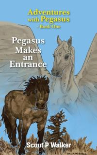 Adventures with Pegasus
