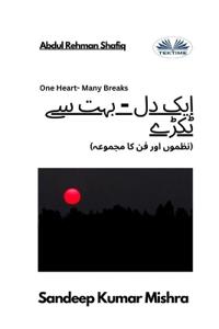 ایک دل - بہت سے ٹکڑے - نظموں اور فن کا مجموعہ