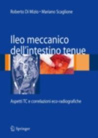 Ileo meccanico dell''intestino tenue