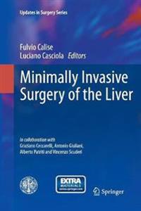 Minimally Invasive Surgery of the Liver