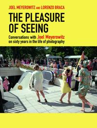 The Pleasure of Seeing