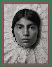 Pieter Henket: Birds of Mexico City