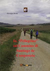 Io, "Pellegrino" sul Cammino di Santiago de Compostela