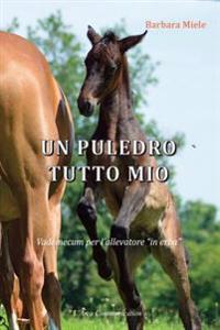Un puledro tutto mio: Vademecum per l'allevatore "in erba"