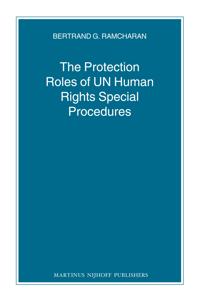 The Protection Roles of UN Human Rights Special Procedures
