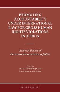 Promoting Accountability under International Law for Gross Human Rights Violations in Africa