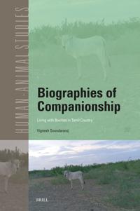 Biographies of Companionship: Living with Bovines in Tamil Country