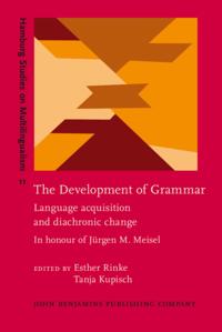 Hamburg Studies on Multilingualism