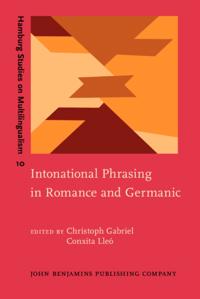 Hamburg Studies on Multilingualism