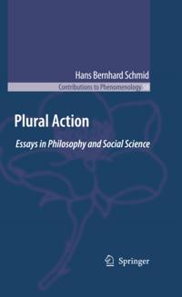 Contributions to Phenomenology