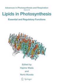 Bokomslag för "Lipids in Photosynthesis"