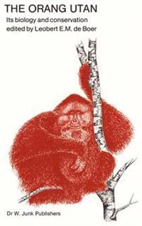 The Orang Utan