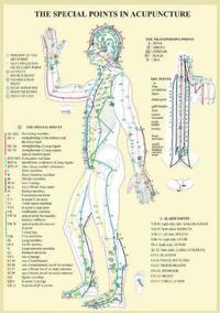 Special Points in Acupunture -- A4