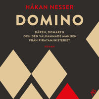 Domino : Dåren, domaren och den välkammade mannen från pirayaministeriet