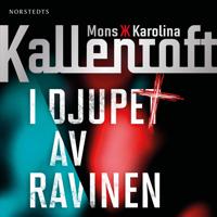 I djupet av ravinen