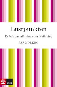 Lustpunkten : en bok om inlärning utan utbildning