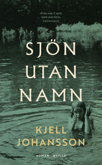 Sjön utan namn : De utsatta