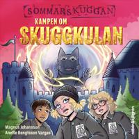 Kampen om Skuggkulan