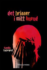 Bokomslag för Det brinner i mitt huvud