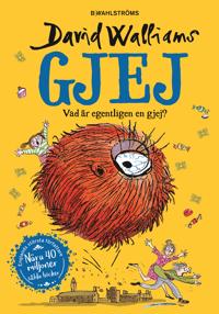 Bokomslag för Gjej : Vad är egentligen en gjej?