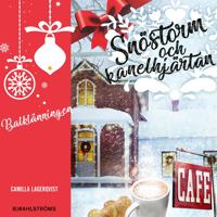 Bokomslag för Snöstorm och kanelhjärtan 1 – Balklänningen