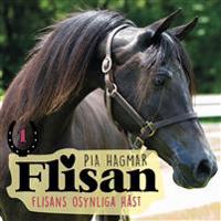 Flisans osynliga häst