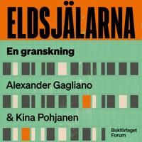 Eldsjälarna : Bidragssverige, gängrekryteringen och pengarna som försvann. En granskning.