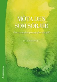 Möta den som sörjer : flera perspektiv på sorg efter dödsfall