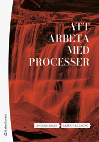 Att arbeta med processer